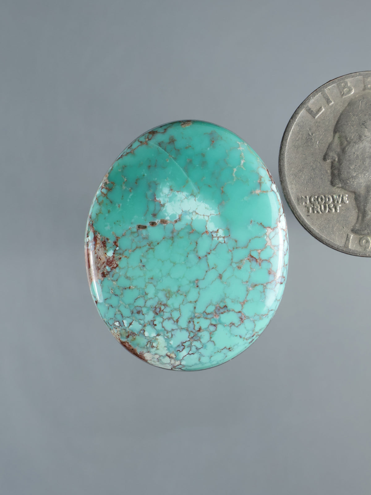 Oval turquoise cabochon with brown web-like veining