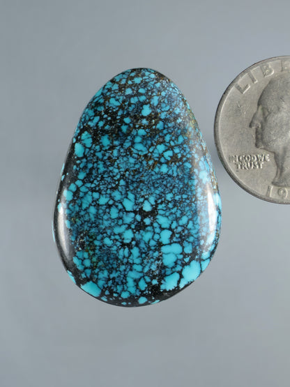 Turquoise cabochon with black matrix web pattern, oval polished stone