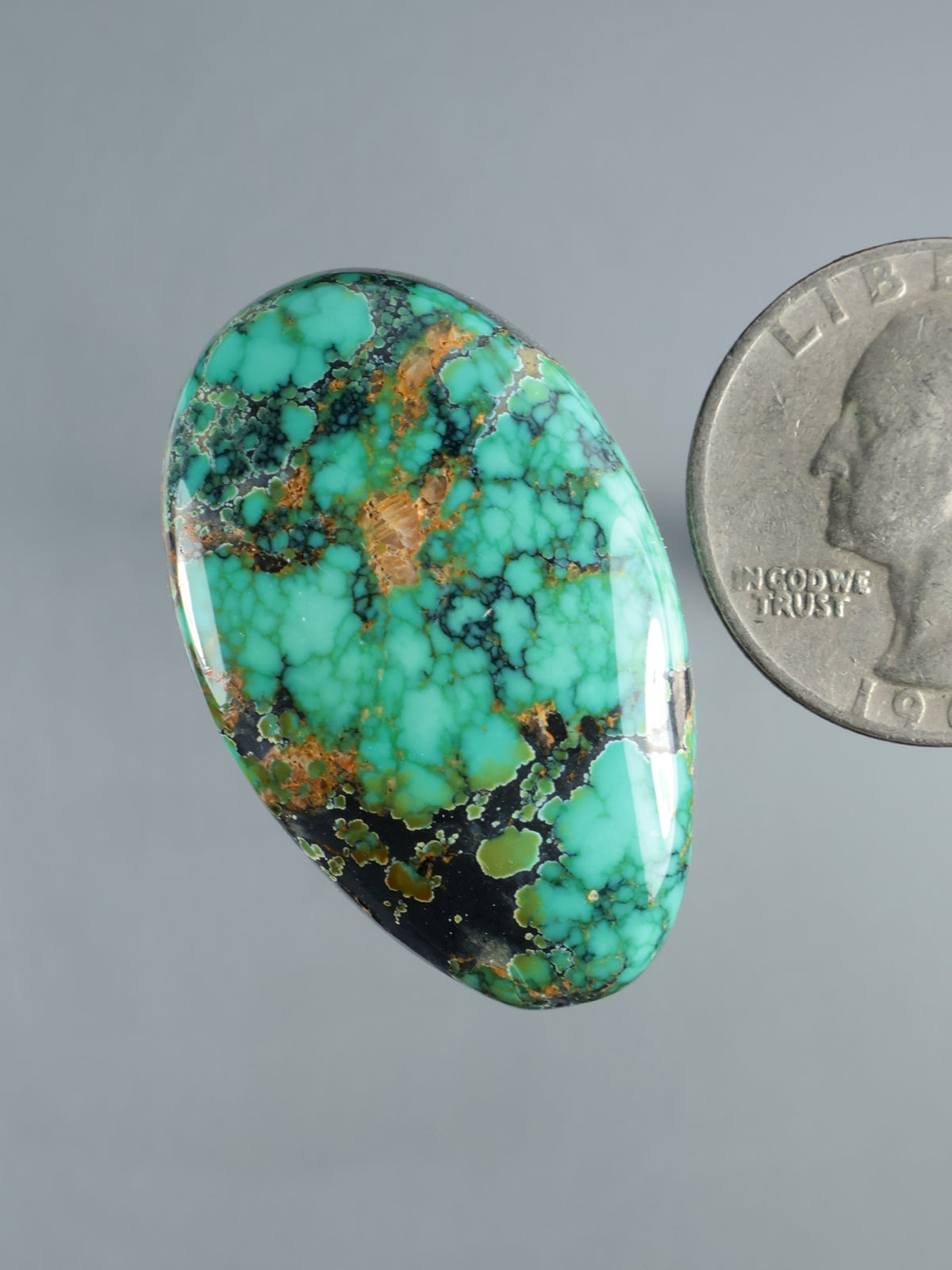 Turquoise cabochon gemstone, oval with dark green-black webbing and warm brown streaks