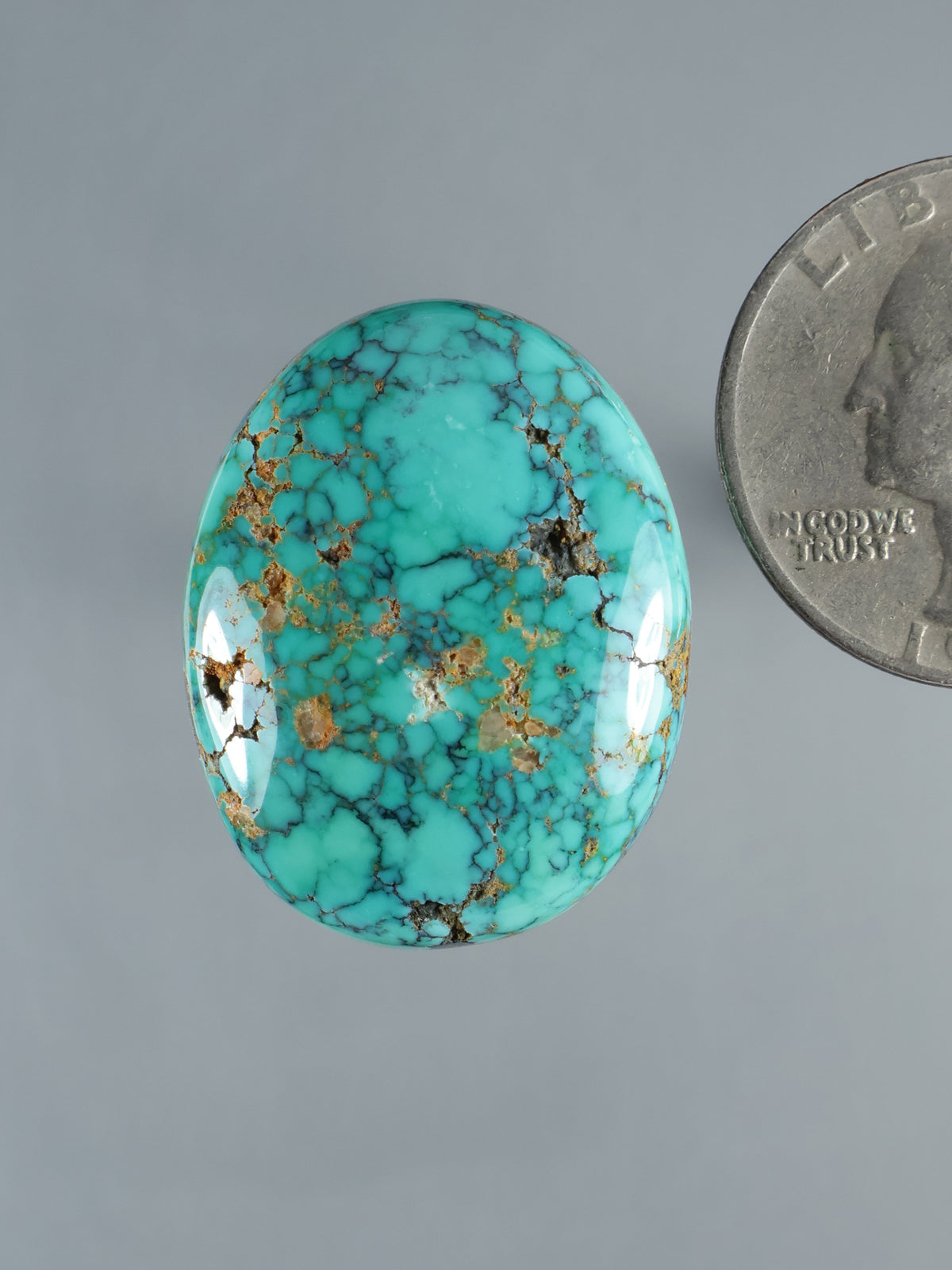 Oval turquoise cabochon with dark webbed veins and gold-brown mineral veining