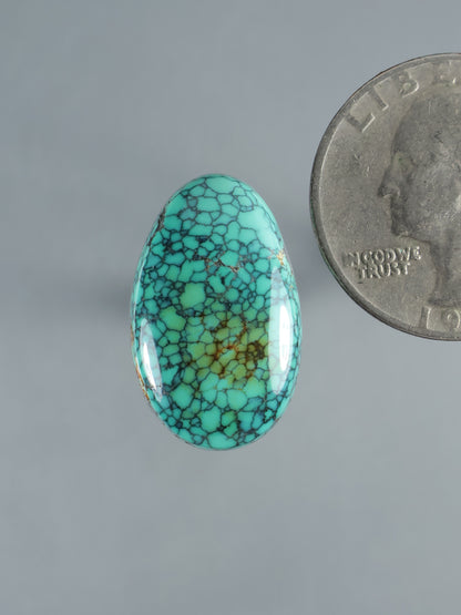 Turquoise oval cabochon gemstone with webbed matrix pattern, polished shine