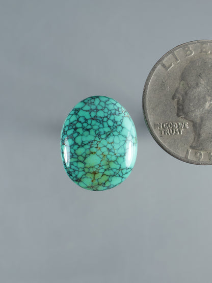 Turquoise oval cabochon with dark web-like vein pattern