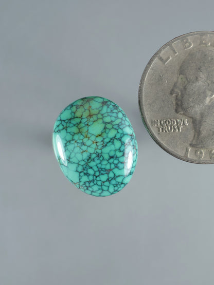 Turquoise oval cabochon with bright blue-green web-like vein pattern