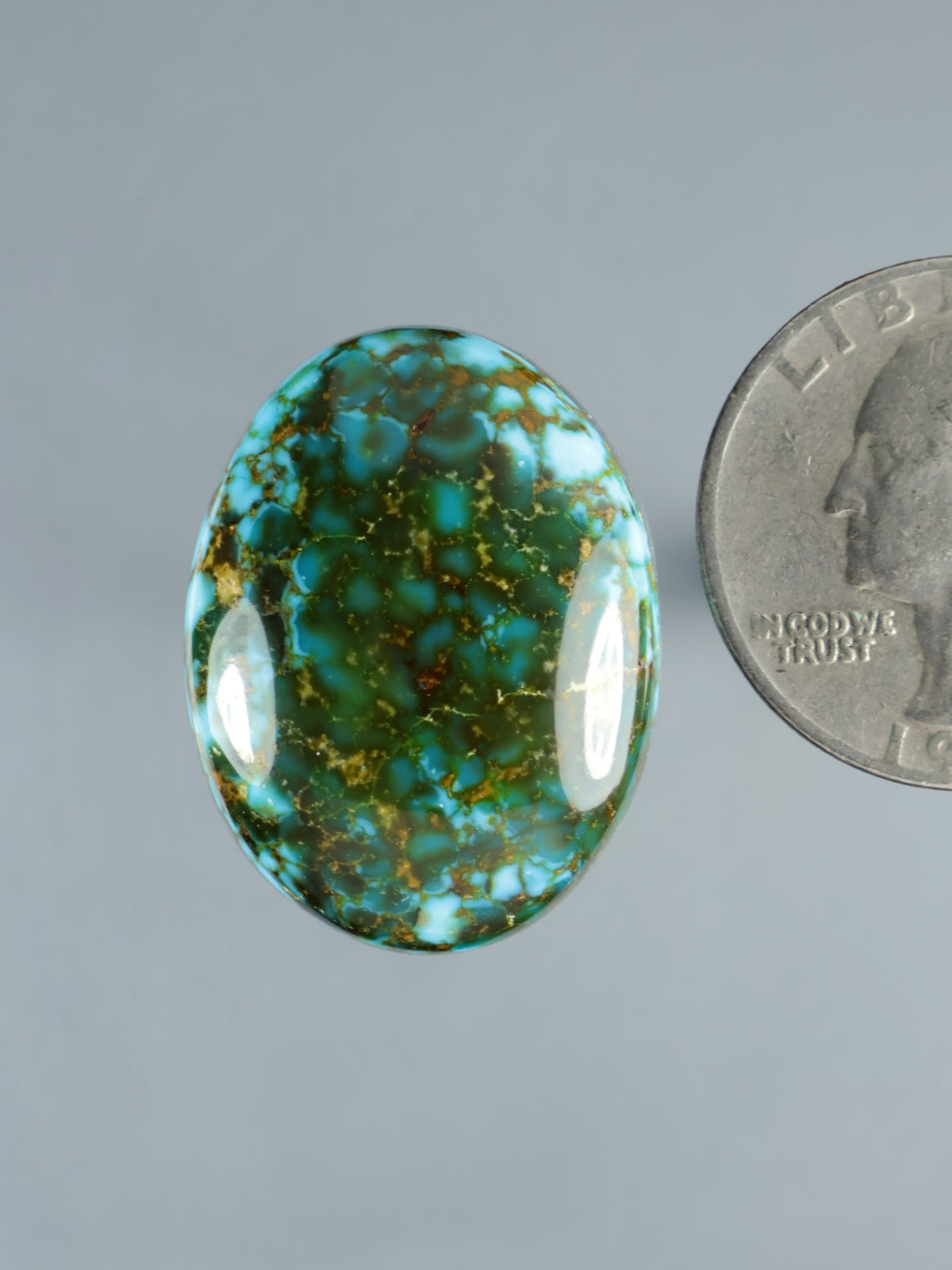 Turquoise cabochon oval gemstone with dark green web pattern, polished shine