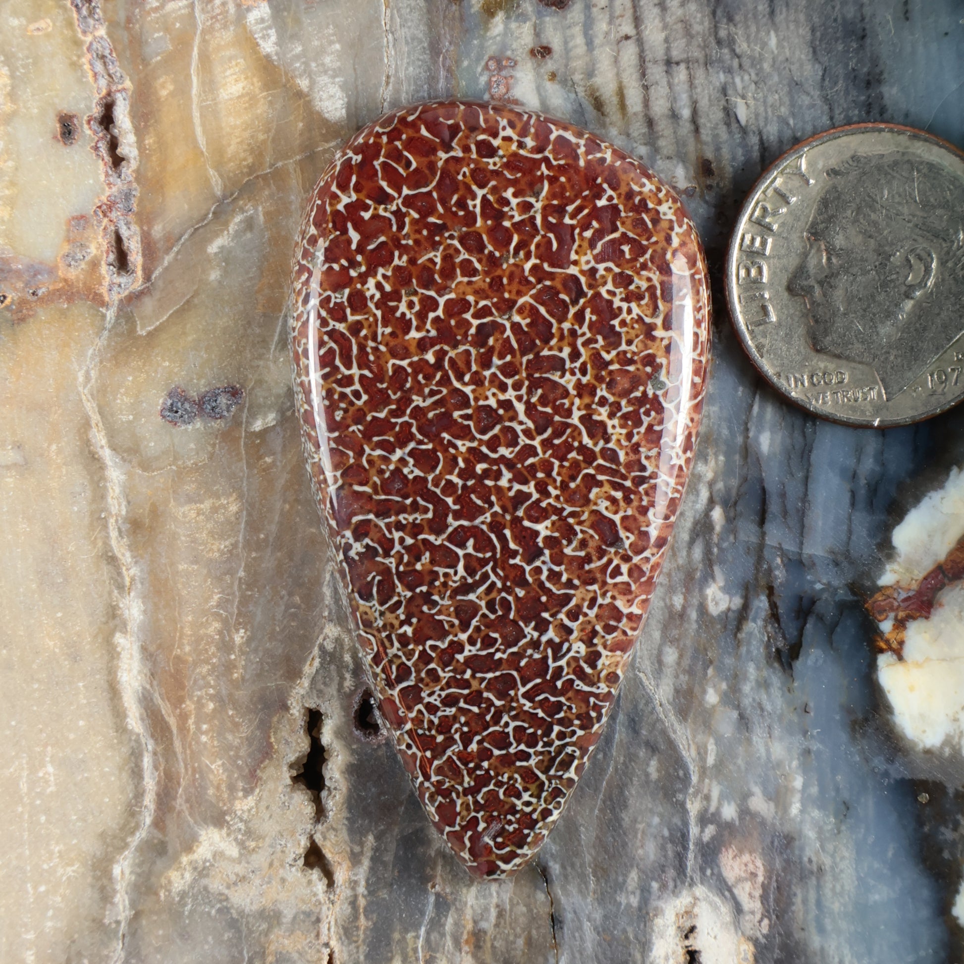 Dinosaur gembone cabochon, oval red-brown stone with white web pattern