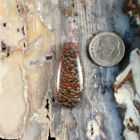 Dinosaur gembone cabochon, oval polished stone with red, black, and orange speckled pattern.