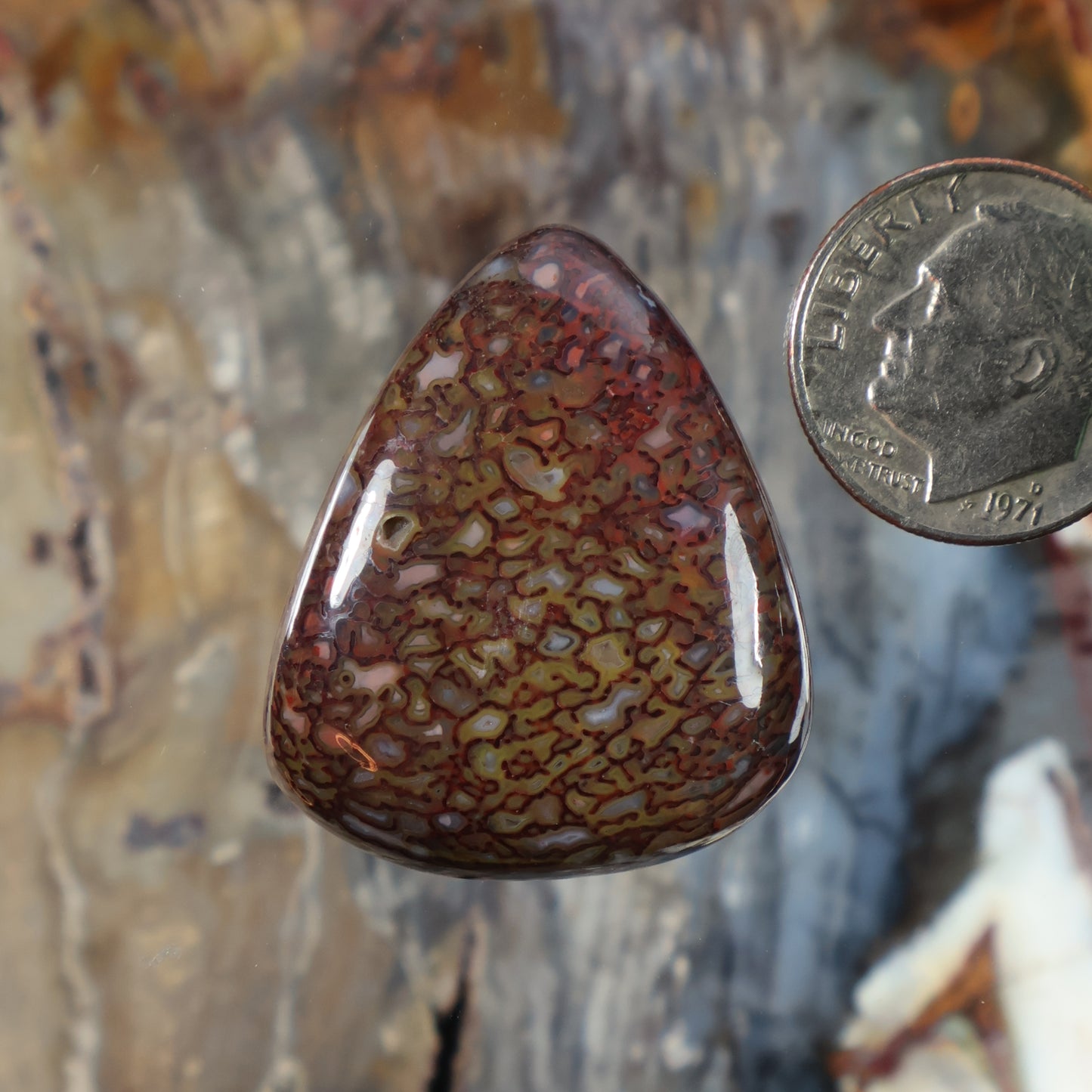 Dinosaur gembone cabochon, teardrop-shaped polished stone with maroon and brown fossil pattern