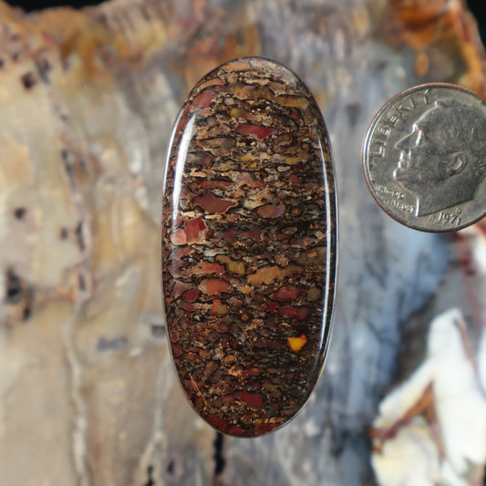 Dinosaur gembone cabochon, oval dark brown stone with red and gold speckling