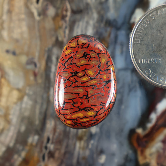 Dinosaur gembone cabochon, oval red and orange patterned stone with glossy finish