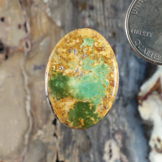Oval turquoise cabochon with green-blue and tan matrix, polished stone bezel