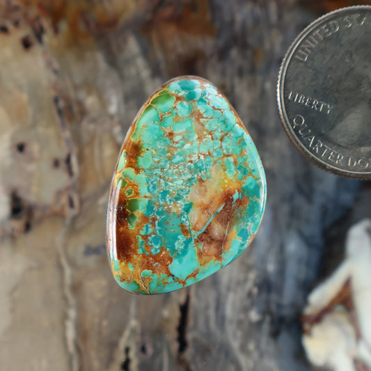 Turquoise cabochon gemstone with brown matrix, oval teardrop shape