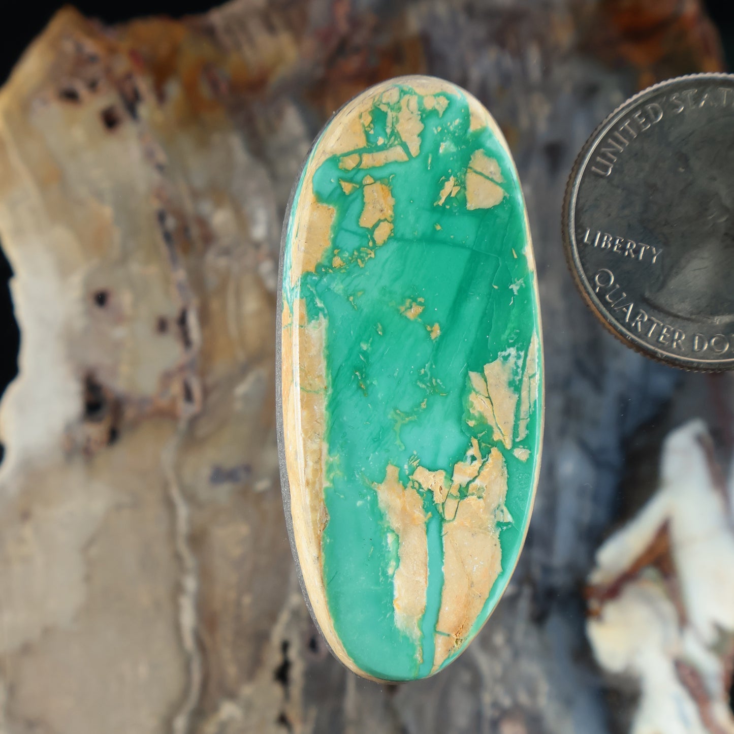 Oval turquoise cabochon gemstone with cream-gold rim and natural veining