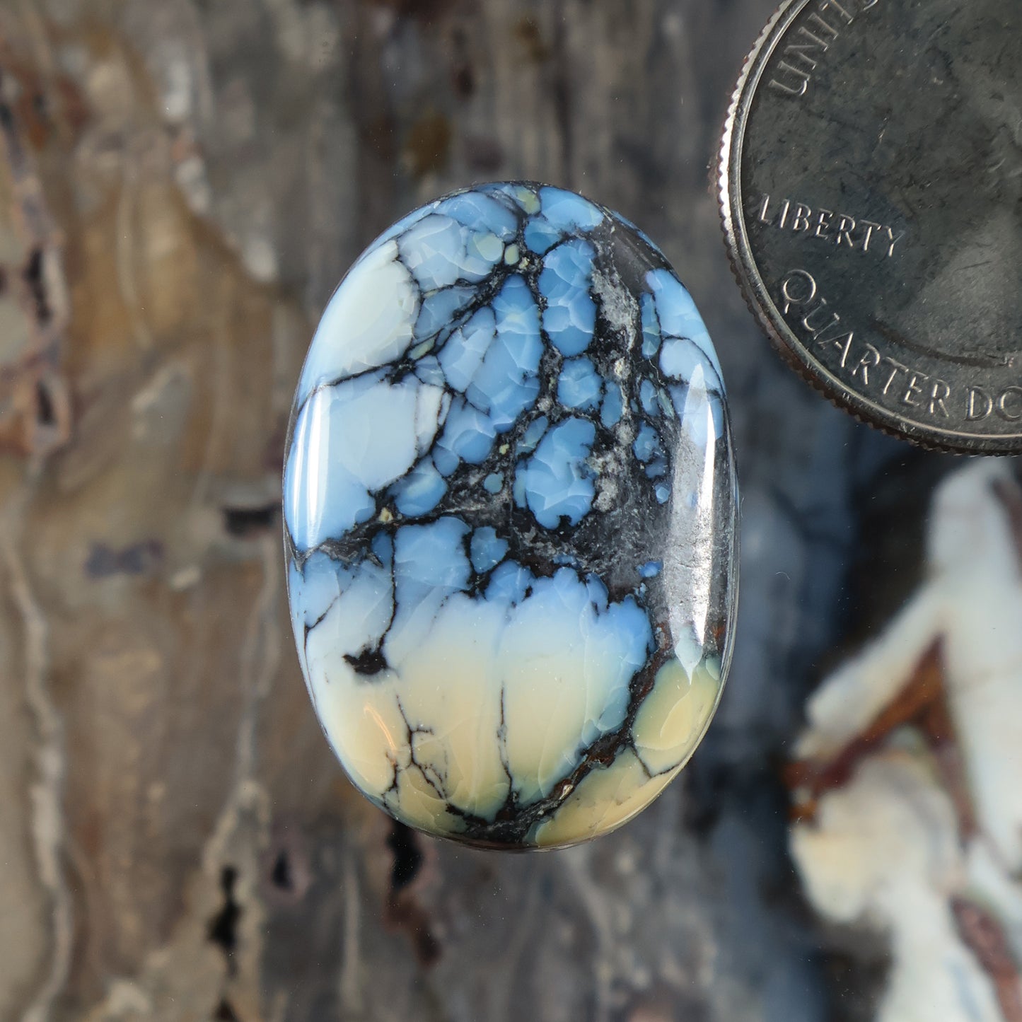 Oval blue cabochon with black web-like veining and milky white marbling