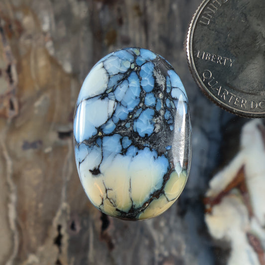 Oval blue cabochon with black web-like veining and milky white marbling