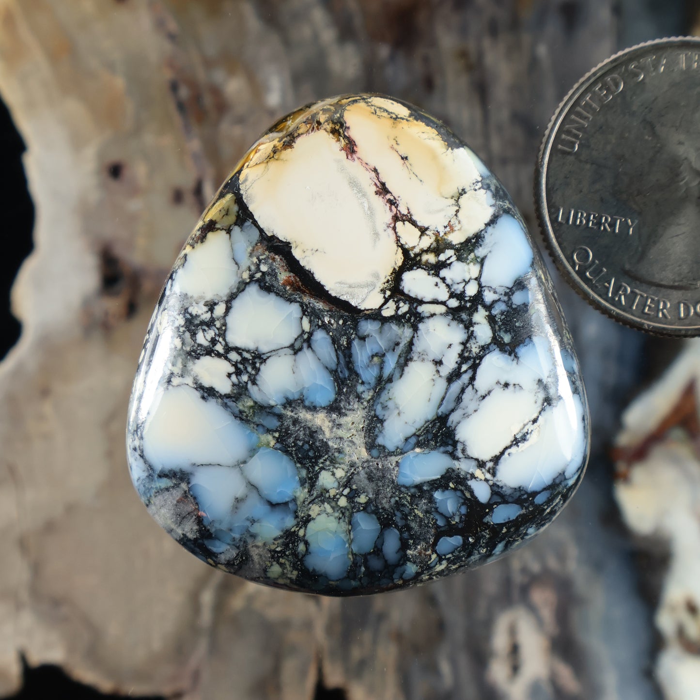 Blue and white cabochon gemstone with black web-like matrix, teardrop shape