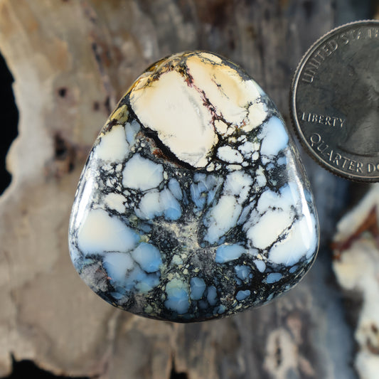 Blue and white cabochon gemstone with black web-like matrix, teardrop shape