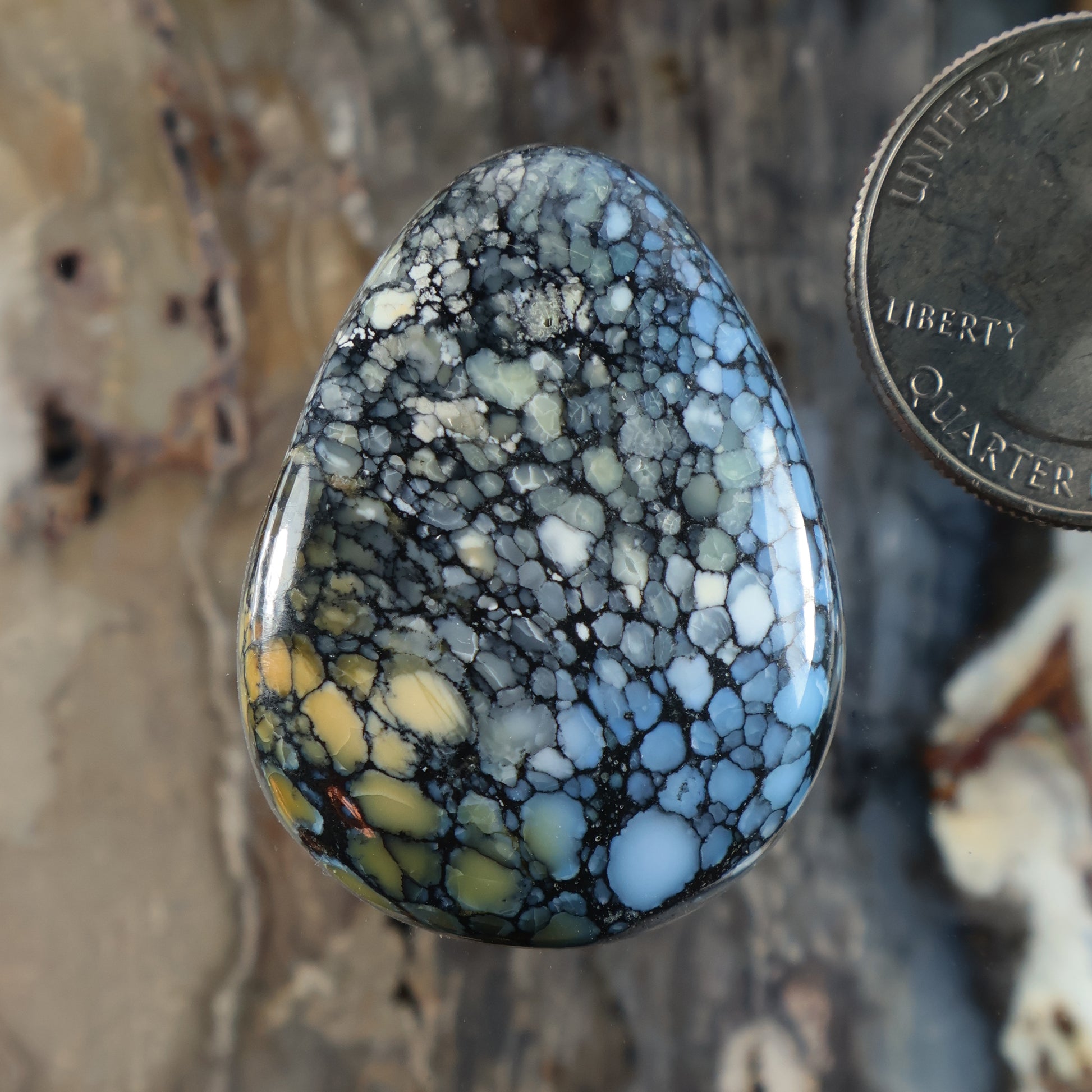 Blue teardrop cabochon with black and light-blue web veining