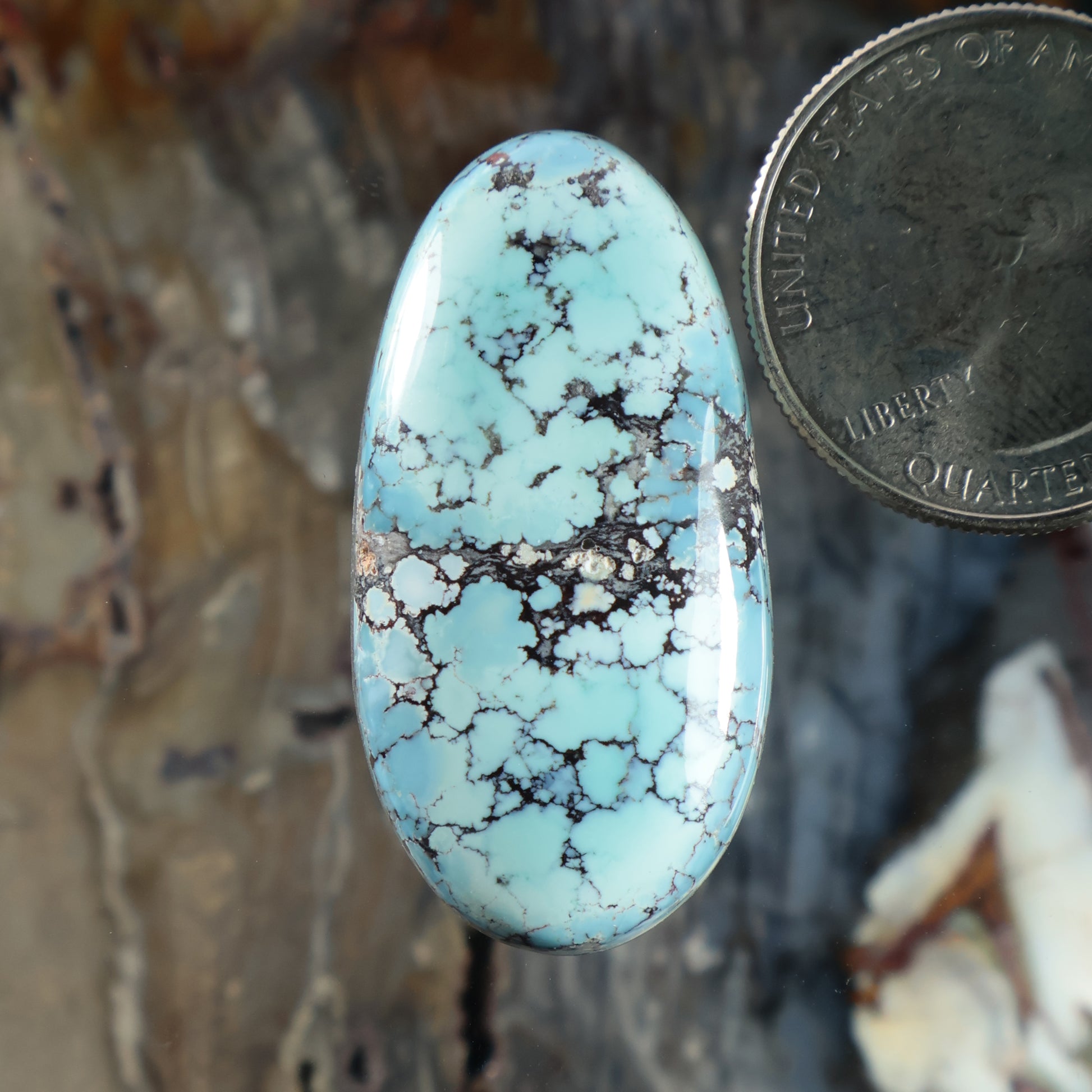 Oval turquoise cabochon with black matrix veining