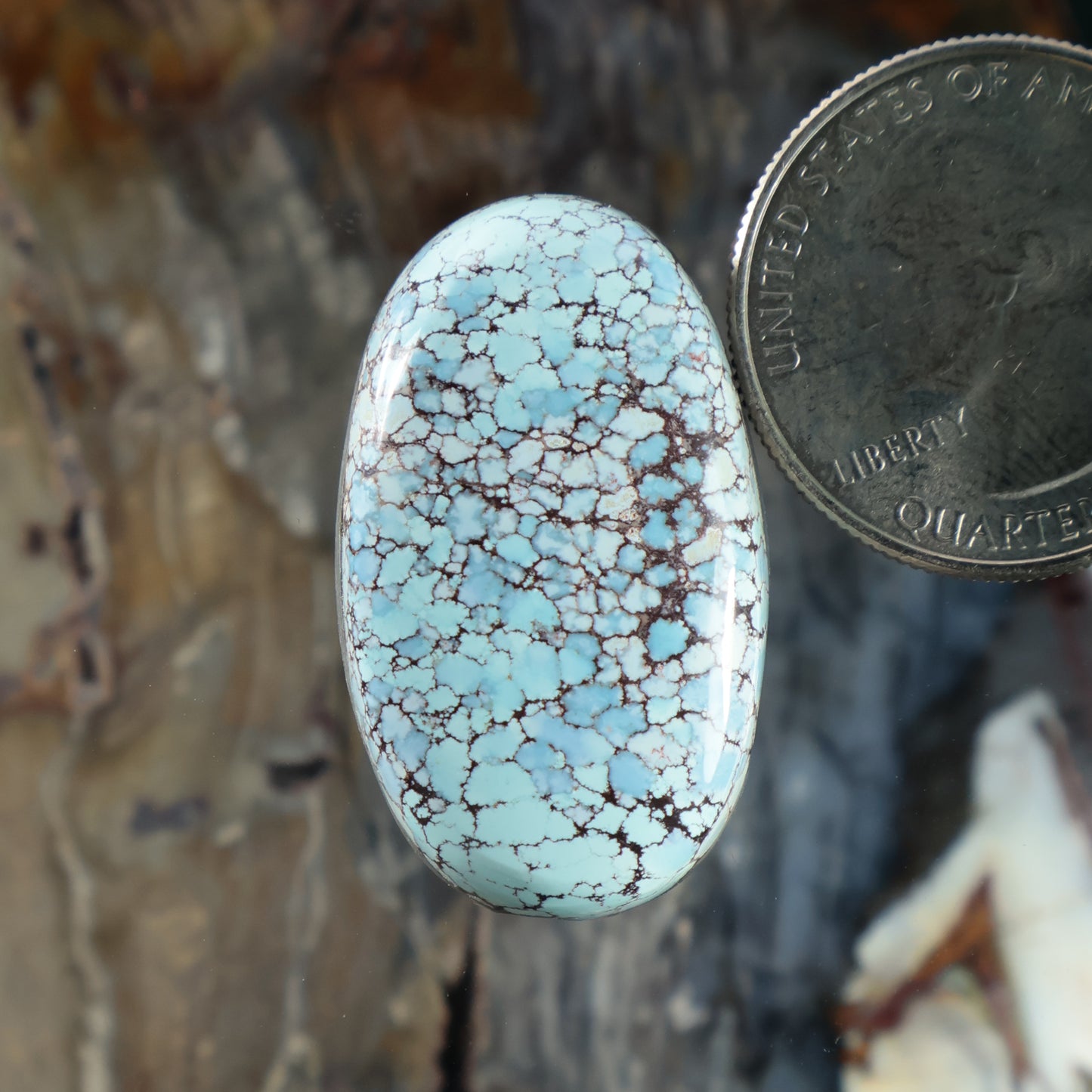 Oval turquoise cabochon with white and dark blue webbed matrix