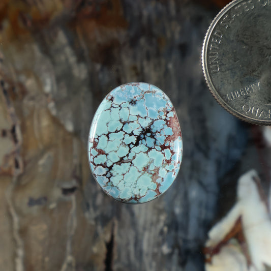 Oval turquoise cabochon gemstone with blue matrix and black veining
