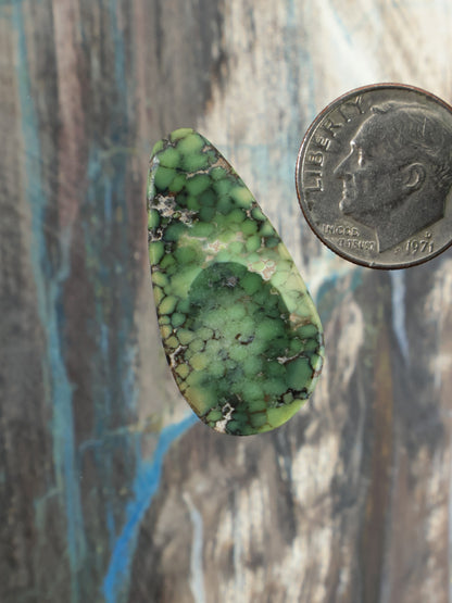 Green variscite teardrop cabochon with mottled web-like matrix and smooth dome