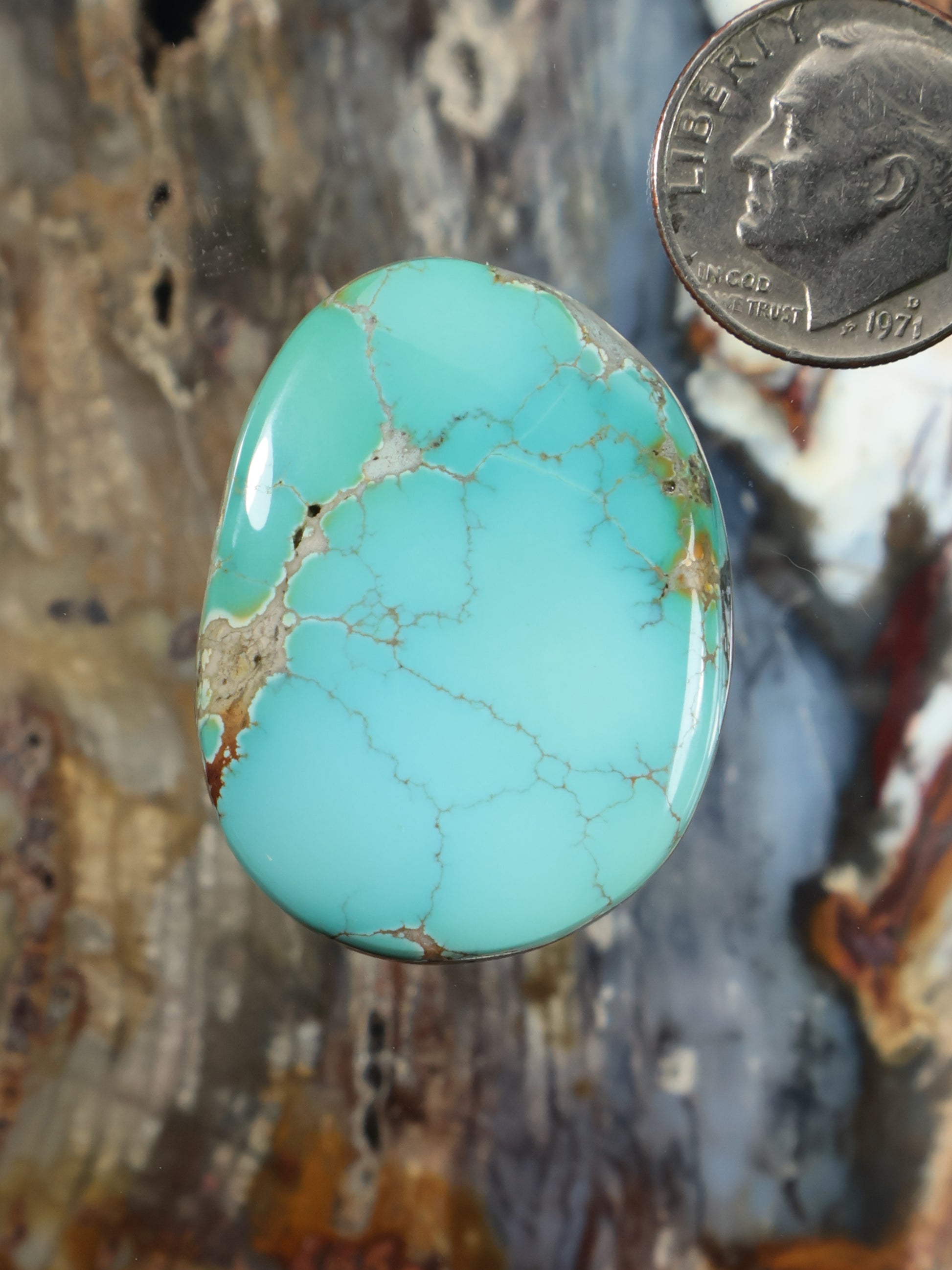 Turquoise oval cabochon with natural vein webbing set in a bezel