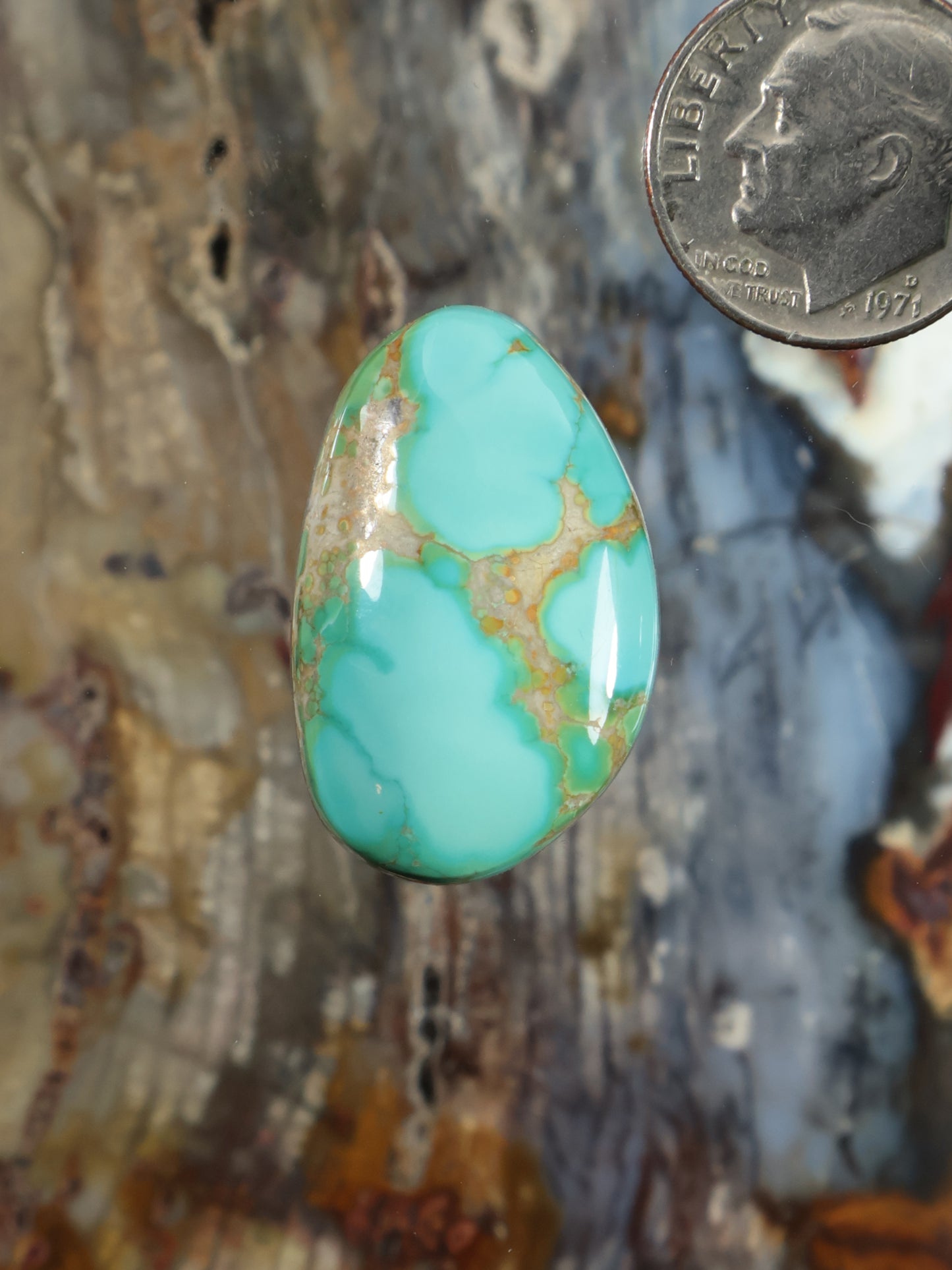 Thunderbird Turquoise Cabochon N793