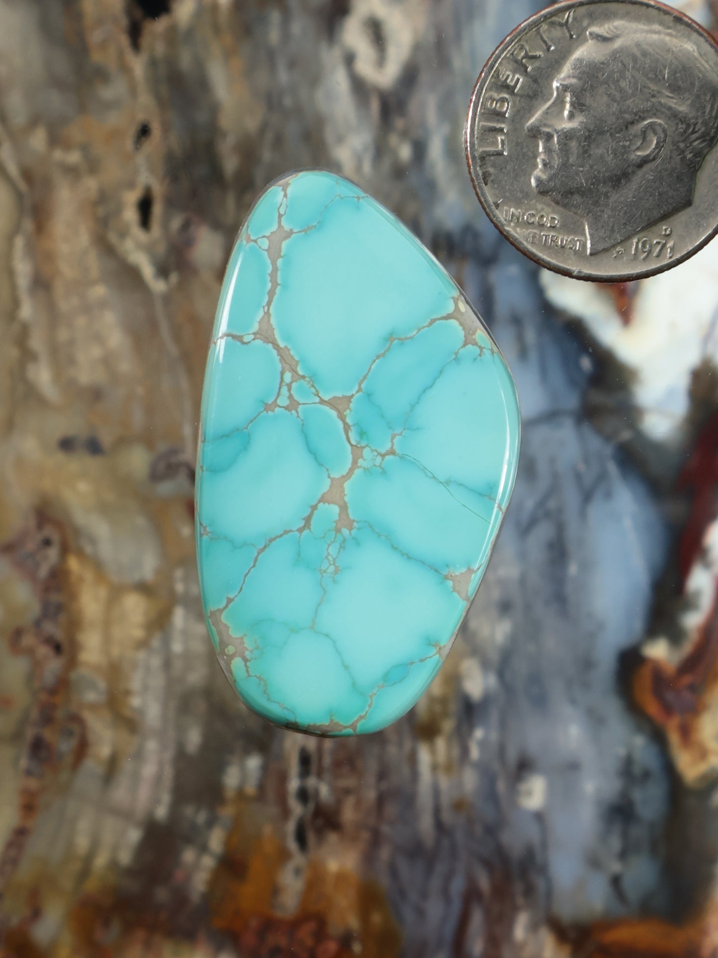 Thunderbird Turquoise Cabochon N786