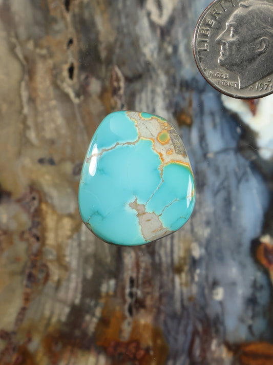 Thunderbird turquoise oval cabochon with tan matrix webbing, glossy stone