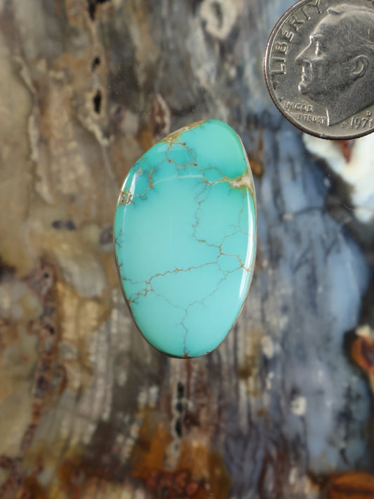 Oval turquoise cabochon with natural web matrix, smooth polished stone