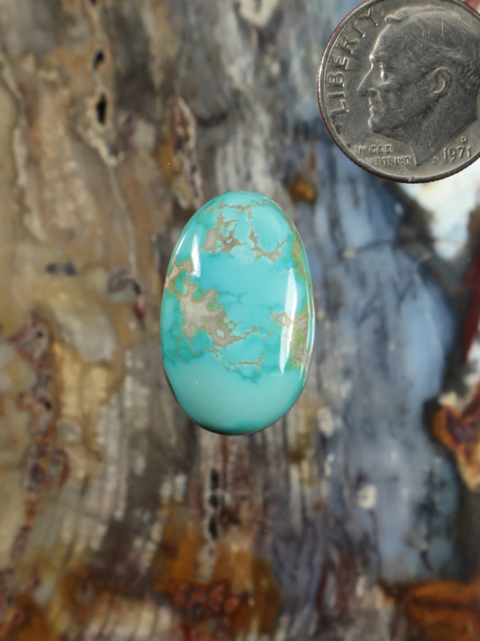 Turquoise oval cabochon with golden matrix webbing, polished stone