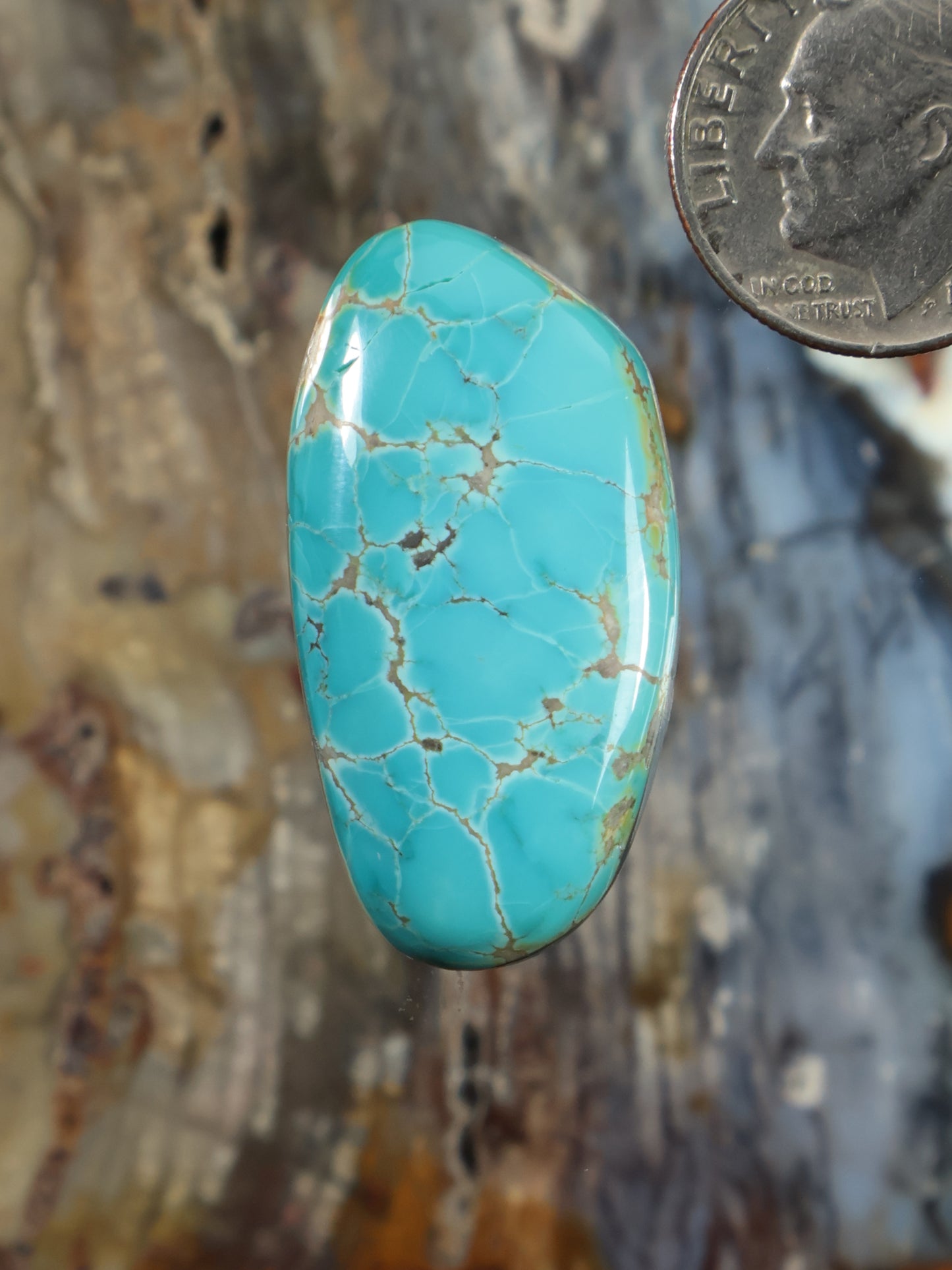 Thunderbird Turquoise Cabochon N799