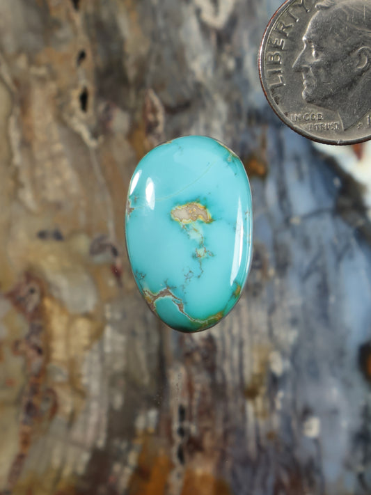 Turquoise oval cabochon with gold matrix inclusions