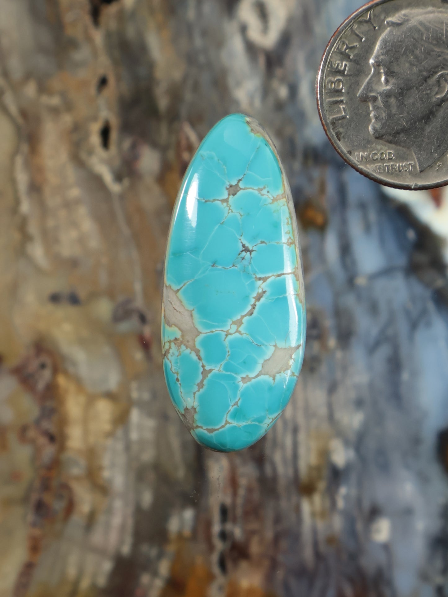 Thunderbird Turquoise Cabochon N795
