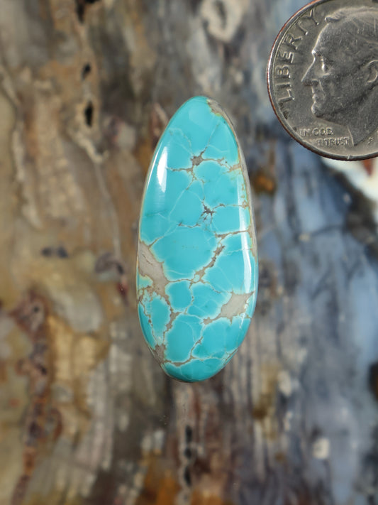 Oval turquoise cabochon with natural matrix web veining