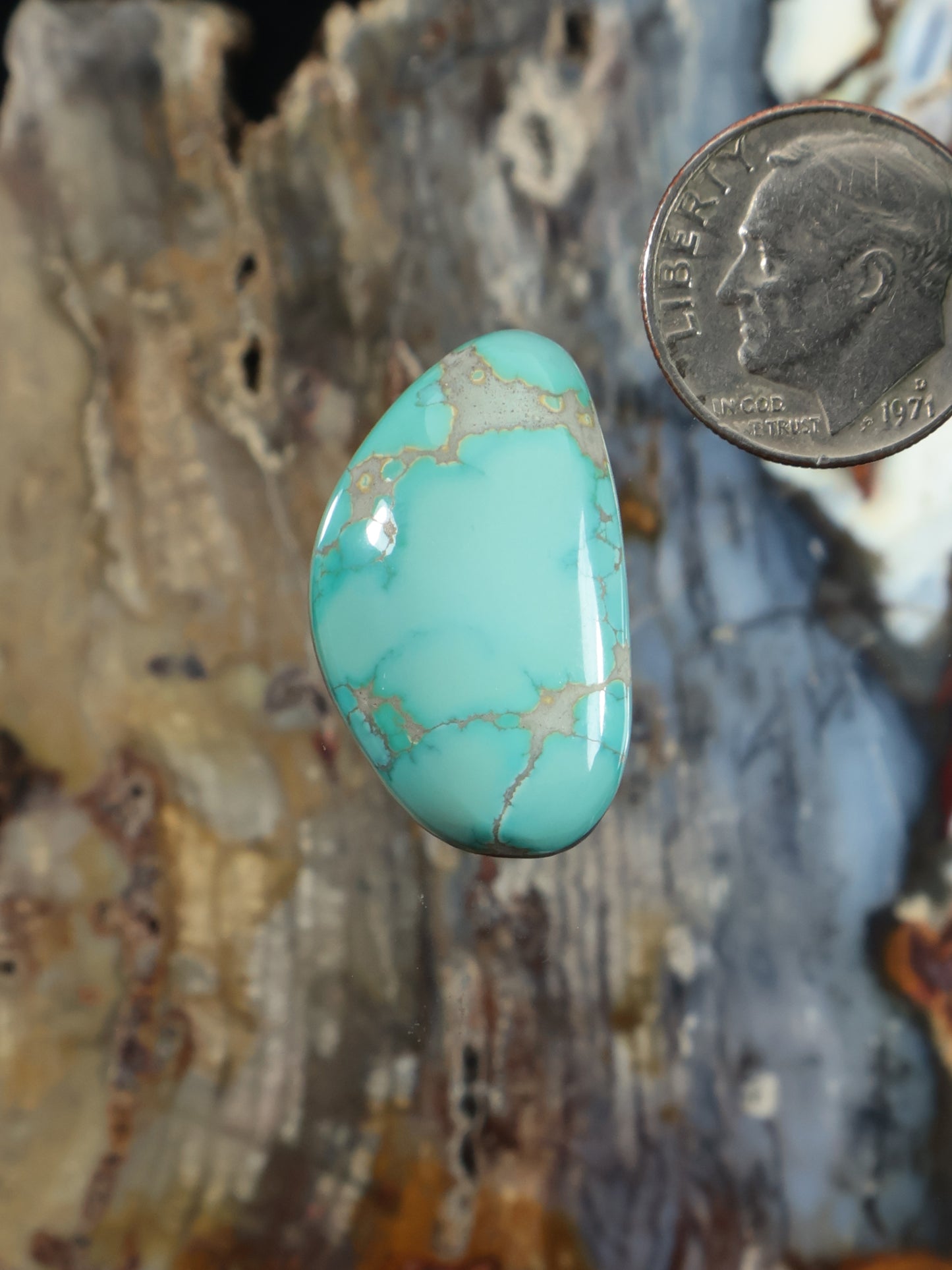 Thunderbird Turquoise Cabochon N796