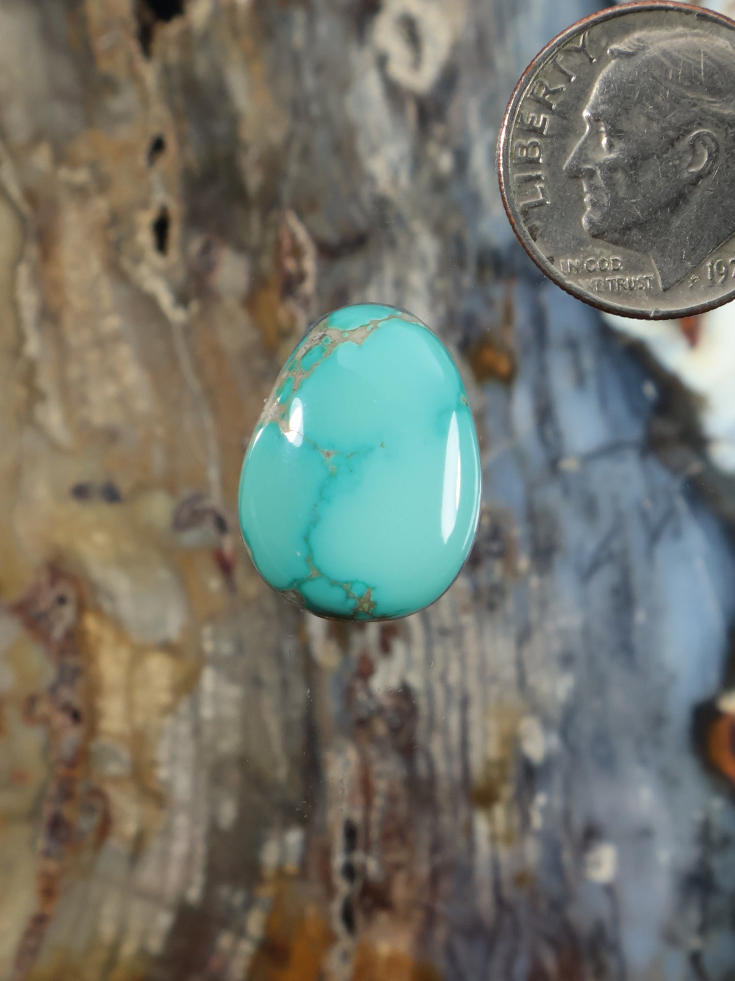 Thunderbird Turquoise Cabochon N788