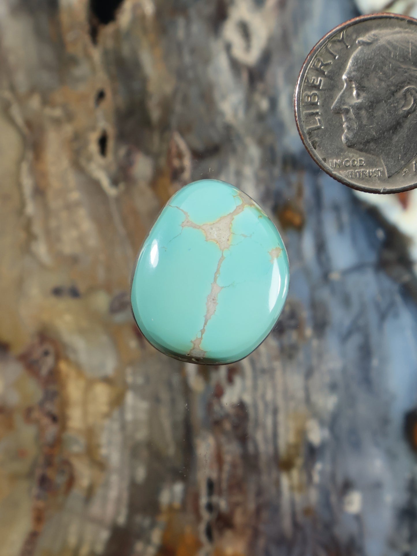 Thunderbird Turquoise Cabochon N791