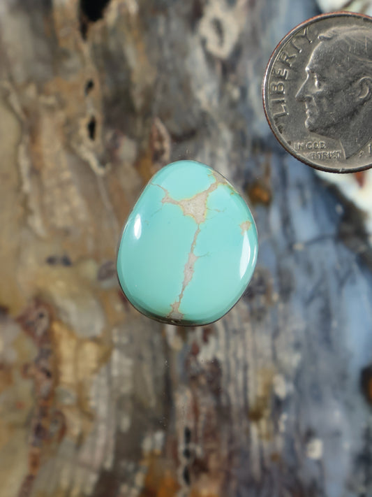 Oval turquoise cabochon gemstone with light matrix web and dark edge bezel.