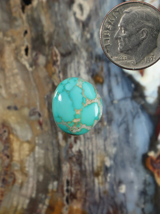 Turquoise oval cabochon gemstone with brown web matrix, domed polished surface