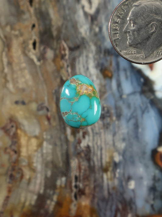 Turquoise cabochon gemstone with brown matrix veining