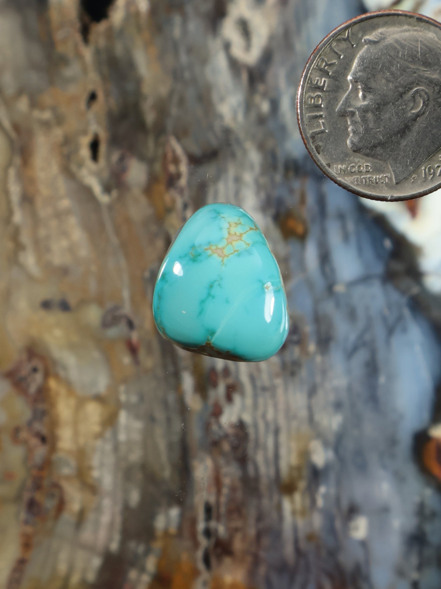 Thunderbird Turquoise Cabochon N787