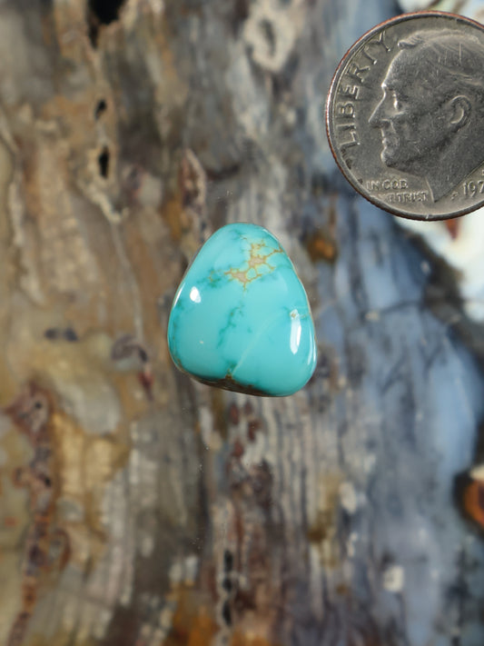 Turquoise teardrop cabochon with golden veining, glossy finish; shown with coin for scale