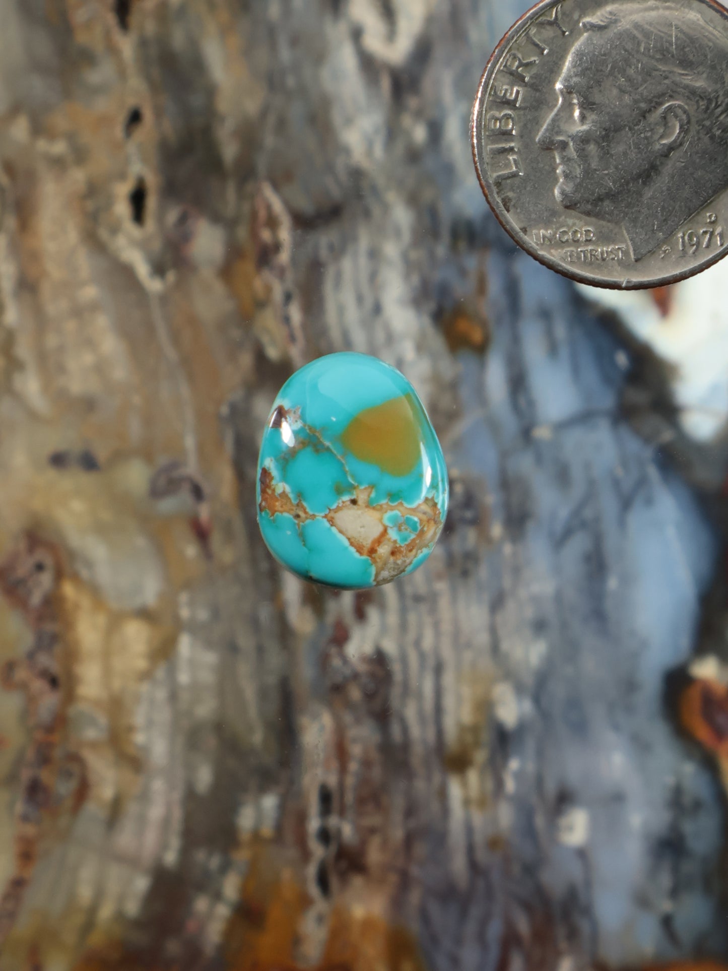 Thunderbird Turquoise Cabochon N792