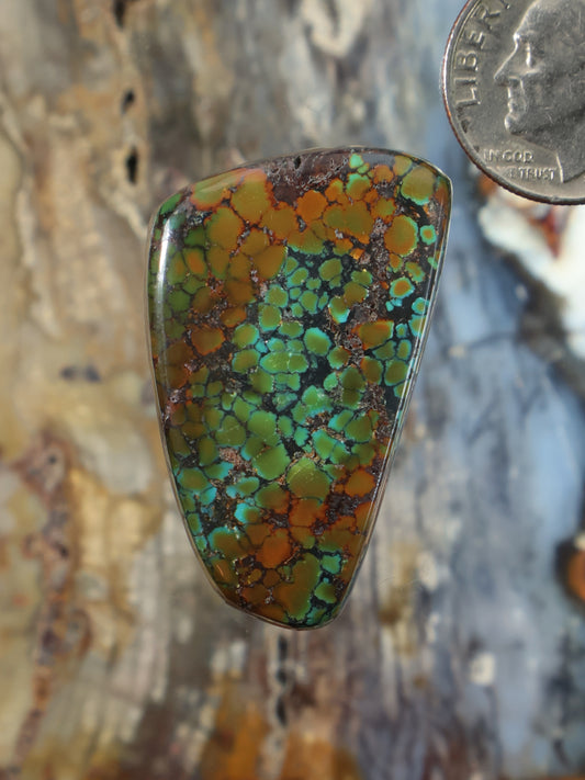 Turquoise cabochon gemstone in triangular setting with multicolor veining