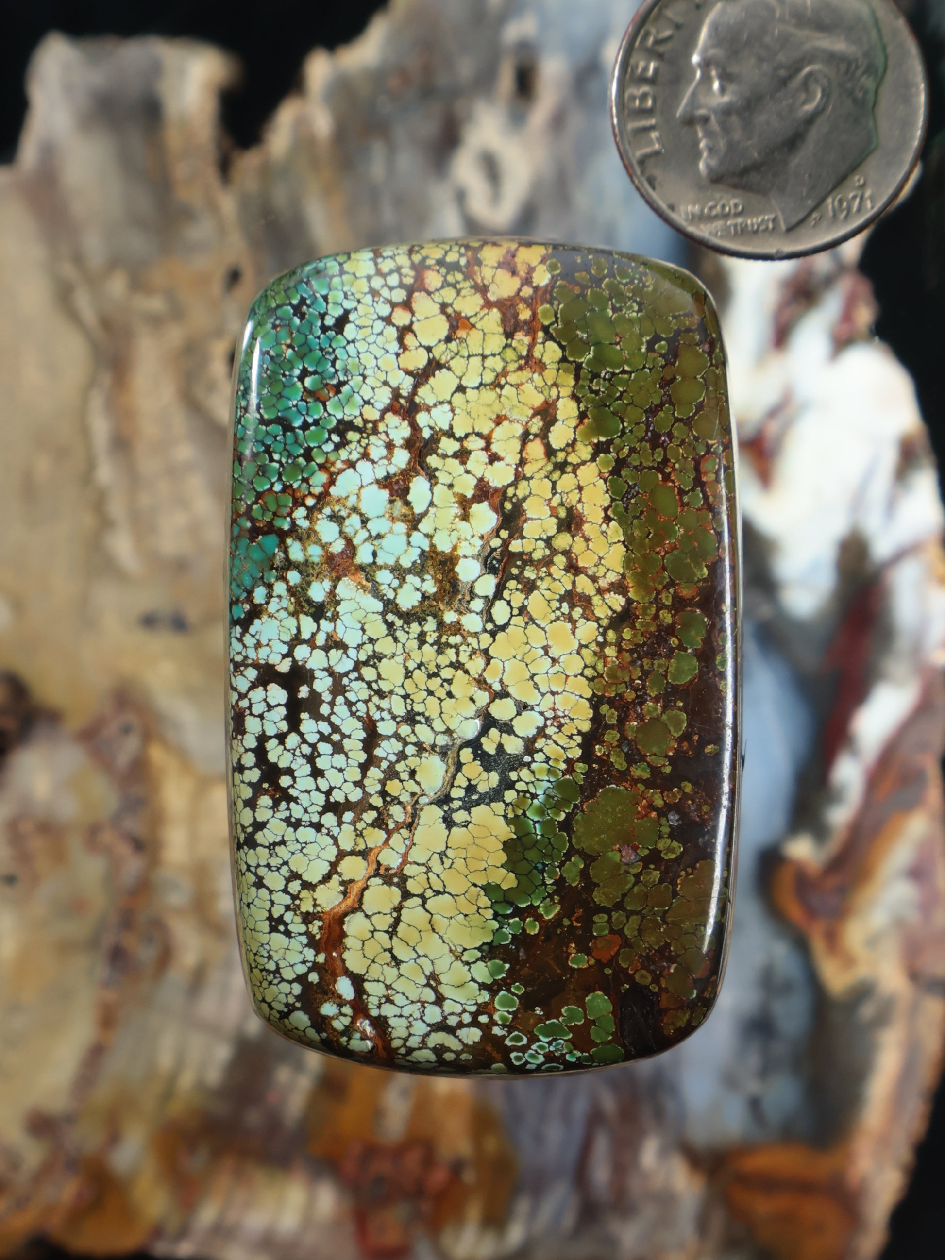 Turquoise cabochon gemstone with mottled green-and-yellow web pattern, rounded rectangle