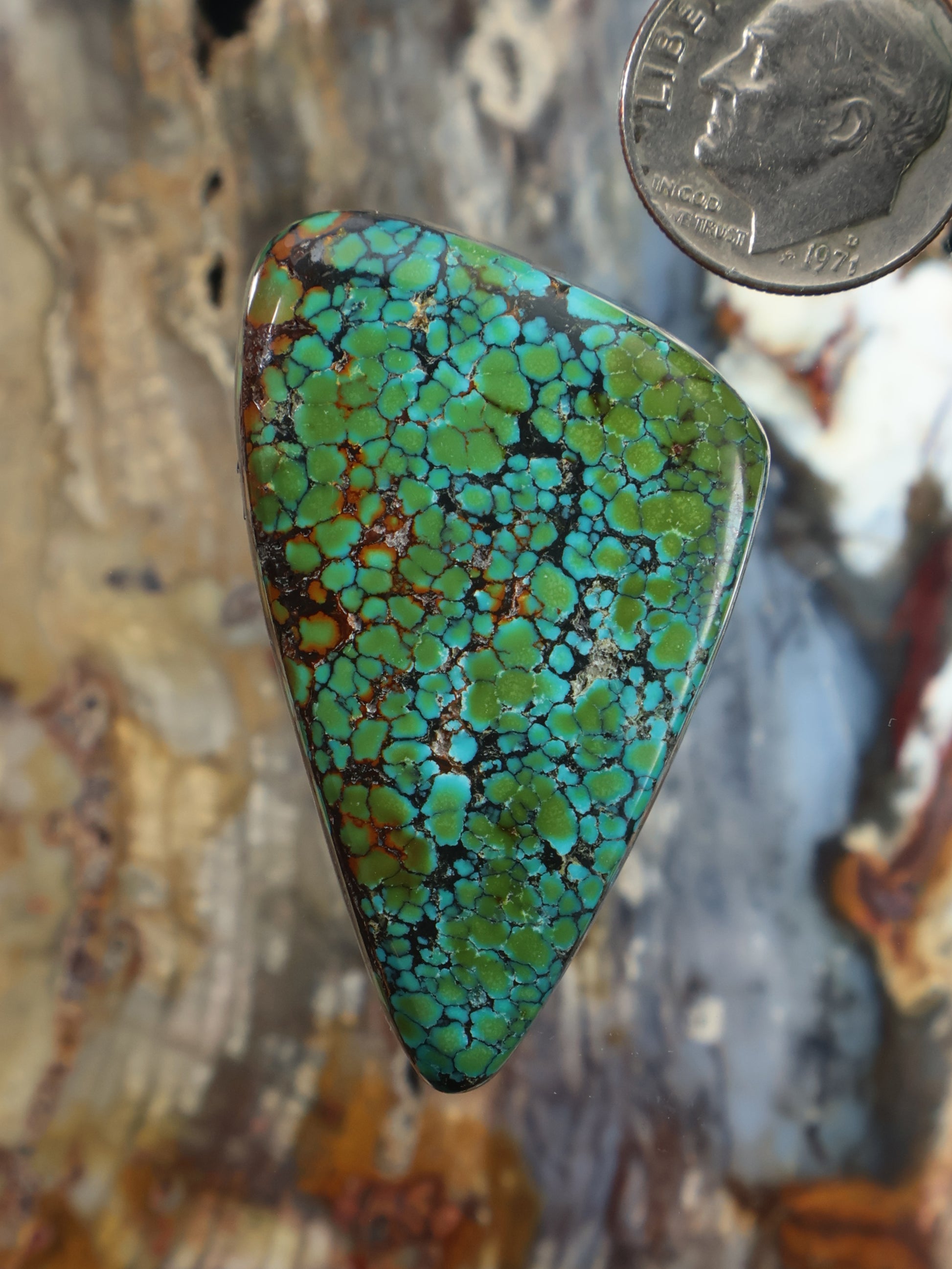 Skyhorse turquoise cabochon Z687, teardrop-shaped with green-blue webbed matrix