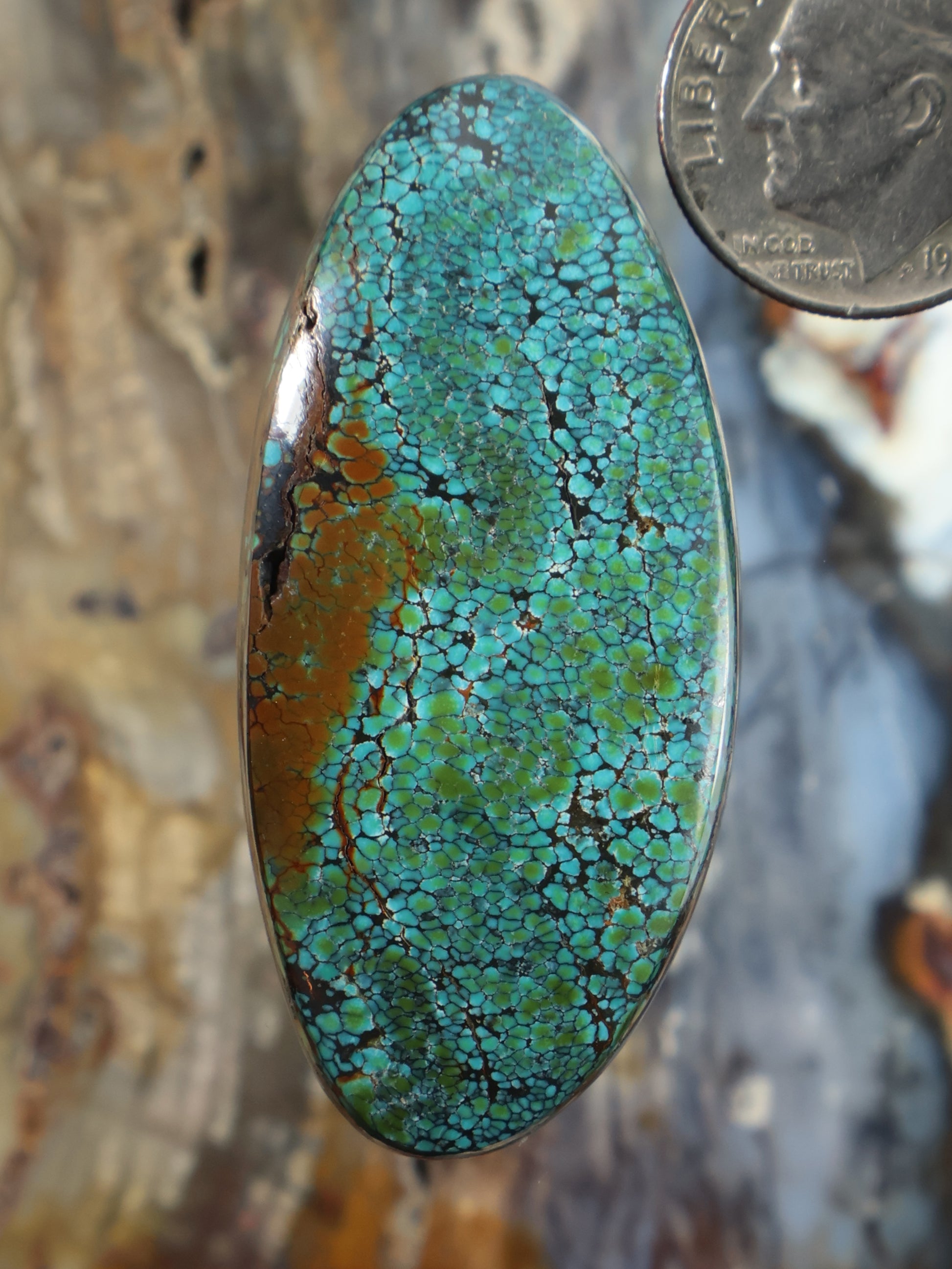 Oval turquoise cabochon with web-like matrix pattern in blue-green