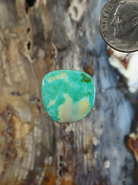 Turquoise cabochon gemstone with smooth oval face and pale veining