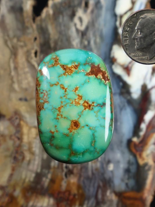 Oval turquoise cabochon with brown gold web matrix pattern, polished gemstone
